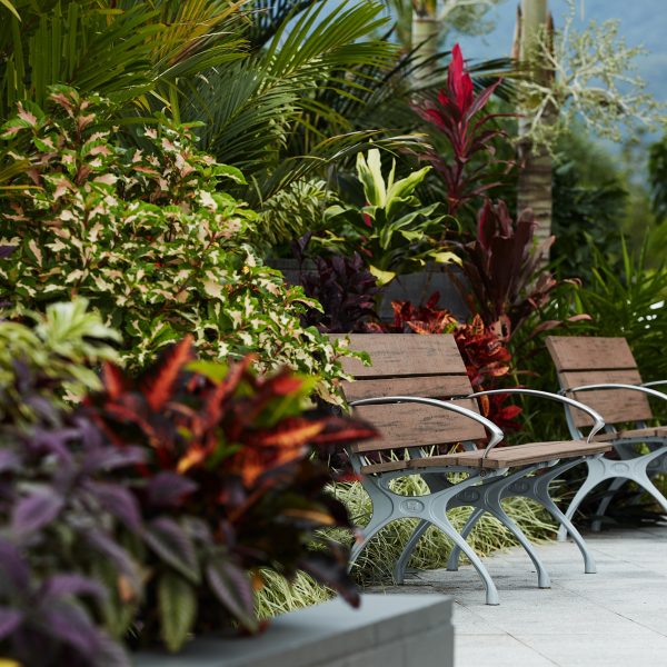 Two benches surrounded by lush green gardens at Coral Sea Gardens Retirement Village