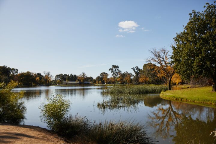 Lake in Bendigo on a summers day